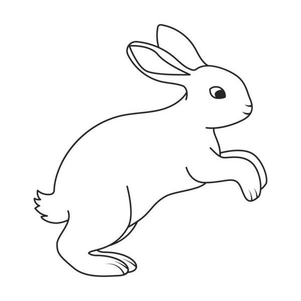 Значок вектора кролика. Иконка вектора контура выделена на белом фоне кролика.