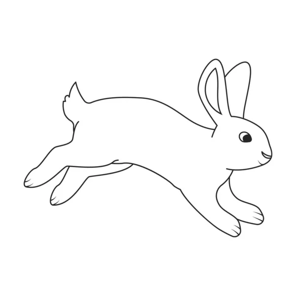 Векторна іконка кролика. Векторна іконка виходу ізольована на білому фоні кролика . — стоковий вектор