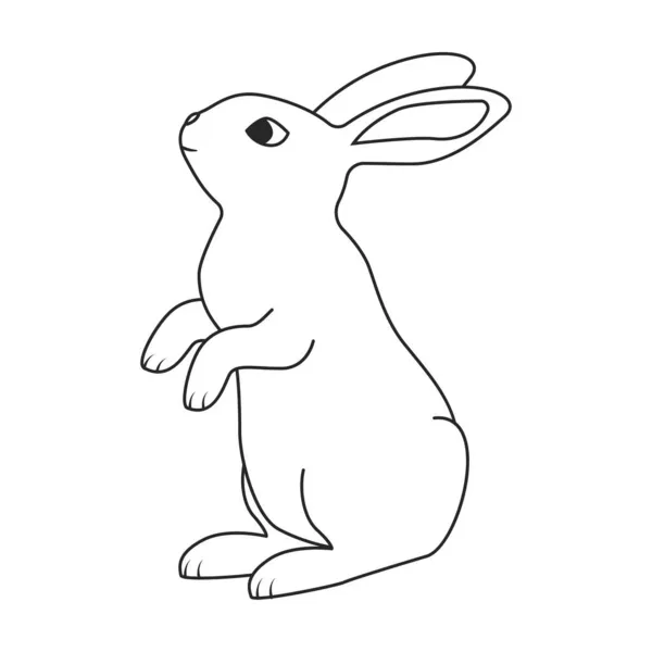 Значок вектора кролика. Иконка вектора контура выделена на белом фоне кролика. — стоковый вектор