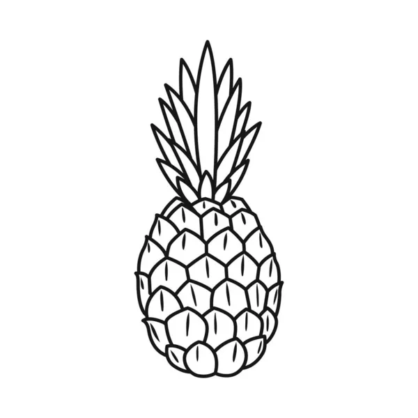 Illustration vectorielle des ananas et symbole vitaminique. Graphique d'ananas et symbole de stock tropical pour la toile. — Image vectorielle