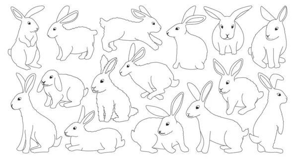 Tavşan vektör karikatür simgesi ayarlandı. Beyaz arka planda koleksiyon vektör illüstrasyon tavşanı. İzole edilmiş çizgi film ikonu ağ tasarımı için pofuduk tavşan seti. — Stok Vektör