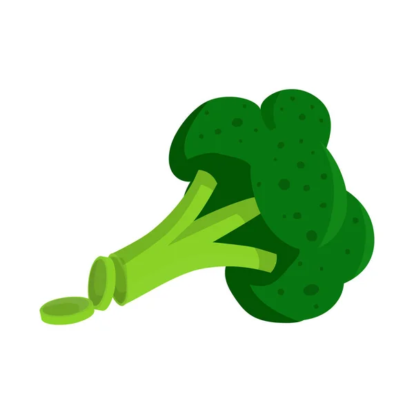 Ilustracja wektorowa brokułów i logo produktu. Zestaw brokułów i ikony wektora upraw dla magazynu. — Wektor stockowy
