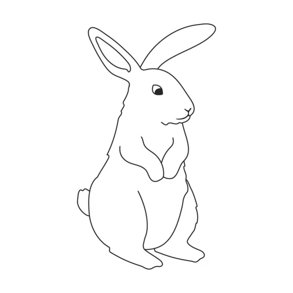 Rabbit vector outline icon. Vector illustration bunny on white background. Isolated outline illustration icon of rabbit. — стоковый вектор