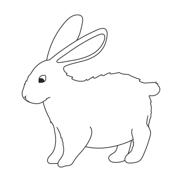 Rabbit vector outline icon. Vector illustration bunny on white background. Isolated outline illustration icon of rabbit. — стоковый вектор