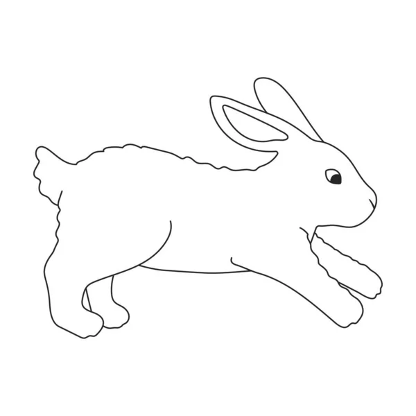 Icono de contorno de vector de conejo. Conejito de ilustración vectorial sobre fondo blanco. Icono de ilustración de contorno aislado de conejo. — Vector de stock