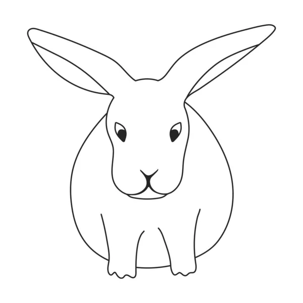 兔子矢量轮廓图标.白色背景上的矢量插图兔子.兔的孤立轮廓图解图标. — 图库矢量图片