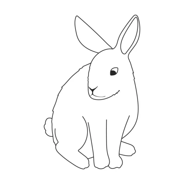 Rabbit vector outline icon. Vector illustration bunny on white background. Isolated outline illustration icon of rabbit. — стоковый вектор