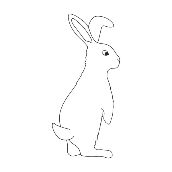 Konijn vector omtrek icoon. Vector illustratie konijn op witte achtergrond. Geïsoleerde schets illustratie icoon van konijn. — Stockvector