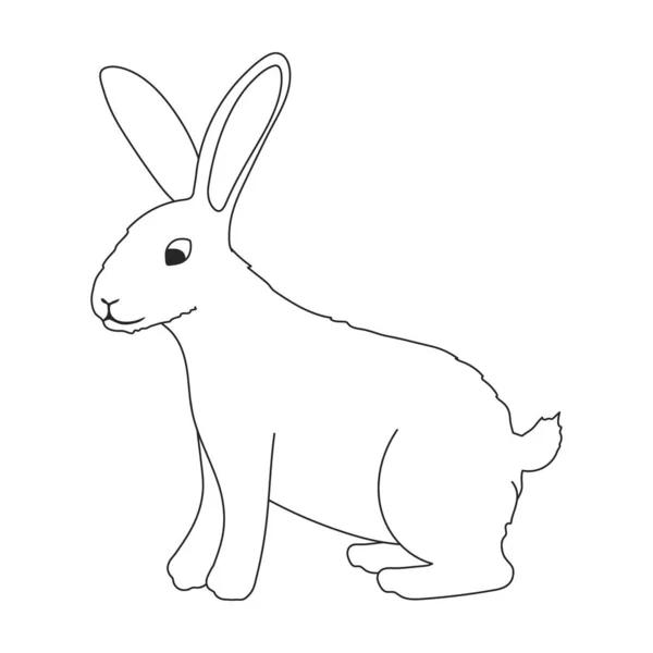 Rabbit vector outline icon. Vector illustration bunny on white background. Isolated outline illustration icon of rabbit. — стоковый вектор