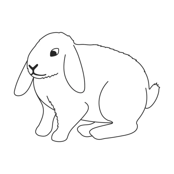 Rabbit vector outline icon. Vector illustration bunny on white background. Isolated outline illustration icon of rabbit. — стоковый вектор