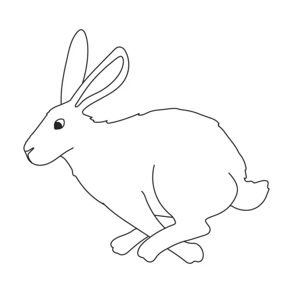 Rabbit vector outline icon. Vector illustration bunny on white background. Isolated outline illustration icon of rabbit. — 图库矢量图片