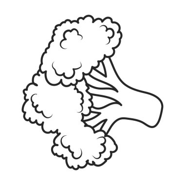 Karnabahar vektör simgesi. Taslak vektör simgesi beyaz arkaplan karnabaharı üzerinde izole edildi.