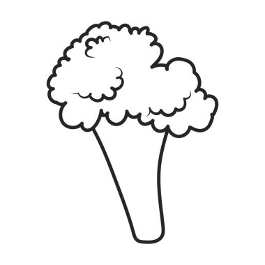 Karnabahar vektör simgesi. Taslak vektör simgesi beyaz arkaplan karnabaharı üzerinde izole edildi.