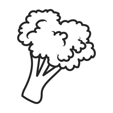 Karnabahar vektör simgesi. Taslak vektör simgesi beyaz arkaplan karnabaharı üzerinde izole edildi.