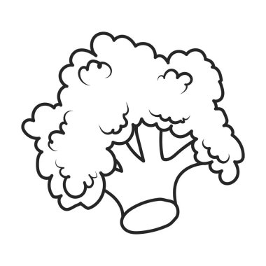 Karnabahar vektör simgesi. Taslak vektör simgesi beyaz arkaplan karnabaharı üzerinde izole edildi.