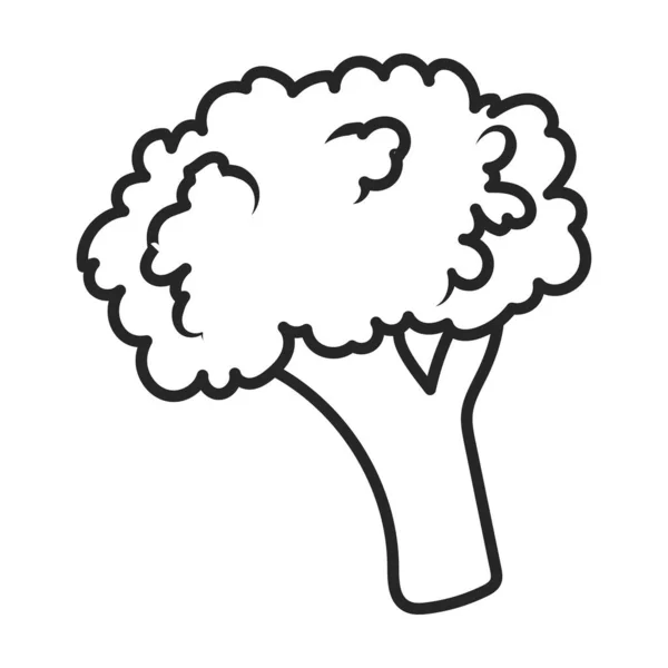 Cauliflower vector icon.Outline vector icon isolated on white background cauliflower. — Stock vektor