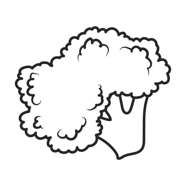 Cauliflower vector icon.Outline vector icon isolated on white background cauliflower. —  Vetores de Stock