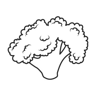 Karnabahar vektör simgesi. Taslak vektör simgesi beyaz arkaplan karnabaharı üzerinde izole edildi.