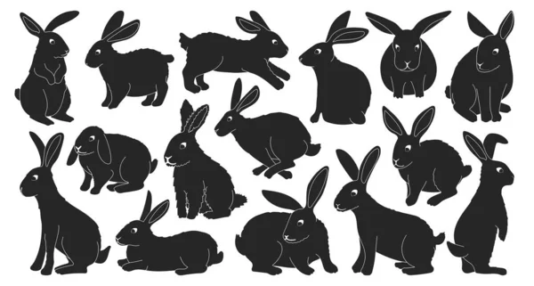 Tavşan vektörü siyah simge ayarlandı. Beyaz arka planda koleksiyon vektör illüstrasyon tavşanı. İzole edilmiş siyah simge ağ tasarımı için pofuduk tavşan seti. — Stok Vektör