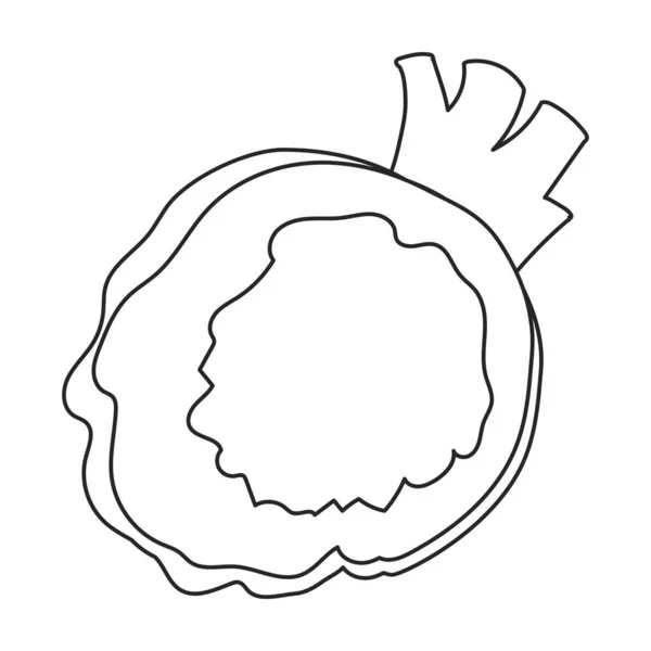 Φύλλο από εικονίδιο φορέα σέλινου Περίγραμμα διανυσματικό εικονίδιο που απομονώνεται σε λευκό φύλλο φόντο σέλινου. — Διανυσματικό Αρχείο