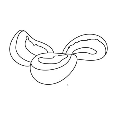 Kayısı kurutulmuş vektör simgesi. Beyaz arkaplan kayısı üzerinde izole edilmiş taslak vektör simgesi..