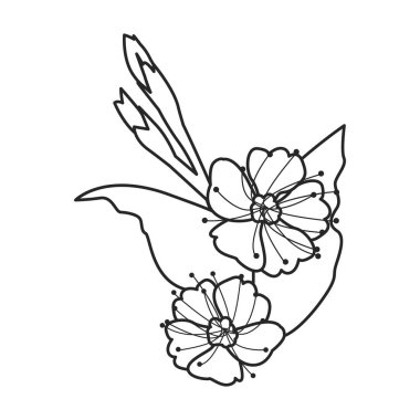 Kayısı kurutulmuş vektör simgesi. Beyaz arkaplan kayısı üzerinde izole edilmiş taslak vektör simgesi..