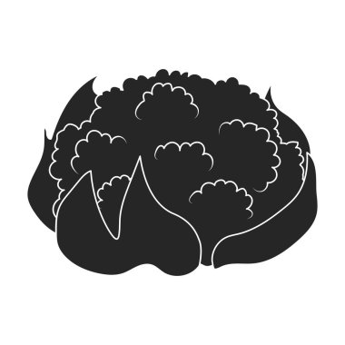 Karnabahar vektör simgesi. Siyah vektör simgesi beyaz arka planda izole edilmiş..