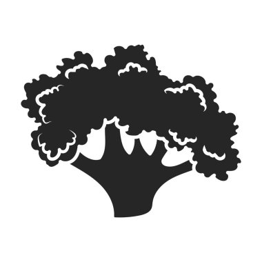 Karnabahar vektör simgesi. Siyah vektör simgesi beyaz arka planda izole edilmiş..