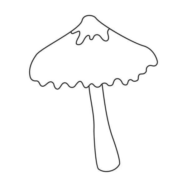 Icône vectorielle Amanita. Icône vectorielle contour isolé sur fond blanc amanita. — Image vectorielle