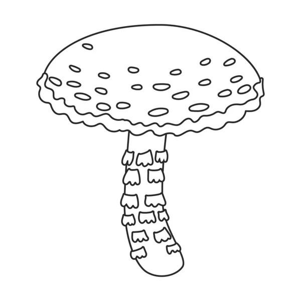 Amanita vector icon.Outline vector icon 고립 백인 배경 amanita 에. — 스톡 벡터