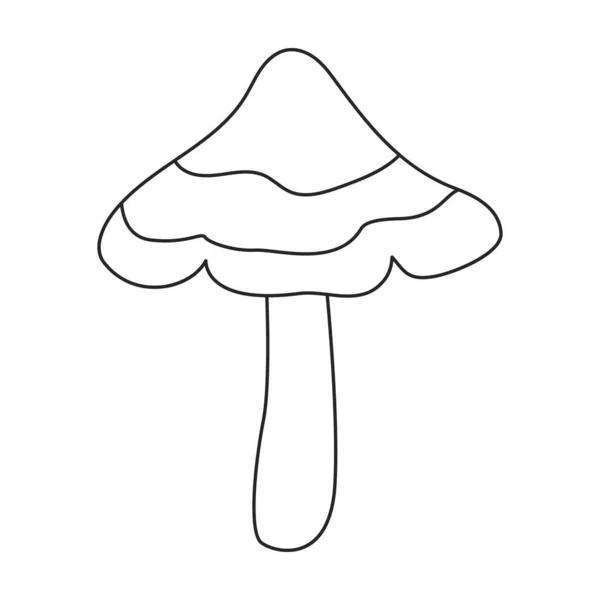 Icono de vector Amanita. Icono de vector de contorno aislado sobre fondo blanco amanita. — Archivo Imágenes Vectoriales