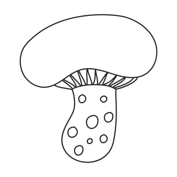 Icono de vector Amanita. Icono de vector de contorno aislado sobre fondo blanco amanita. — Archivo Imágenes Vectoriales