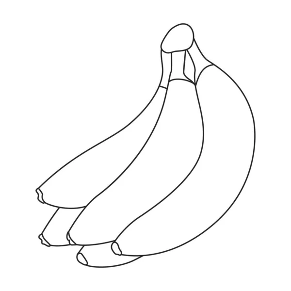 Ikona wektora bananowego.Ikona wektora zarysu izolowana na białym tle banana. — Wektor stockowy