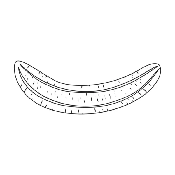 Banán vektor ikon.Vektor ikon elszigetelt fehér háttér banán. — Stock Vector