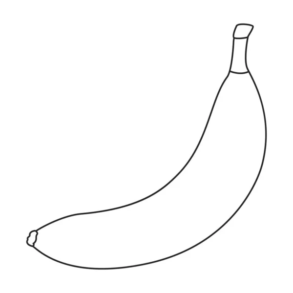 Ikona wektora bananowego.Ikona wektora zarysu izolowana na białym tle banana. — Wektor stockowy