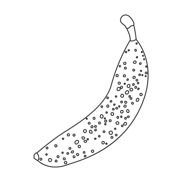 Ikona vektoru banáno.Obrysový vektor ikona izolované na bílém pozadí banán. — Stockový vektor