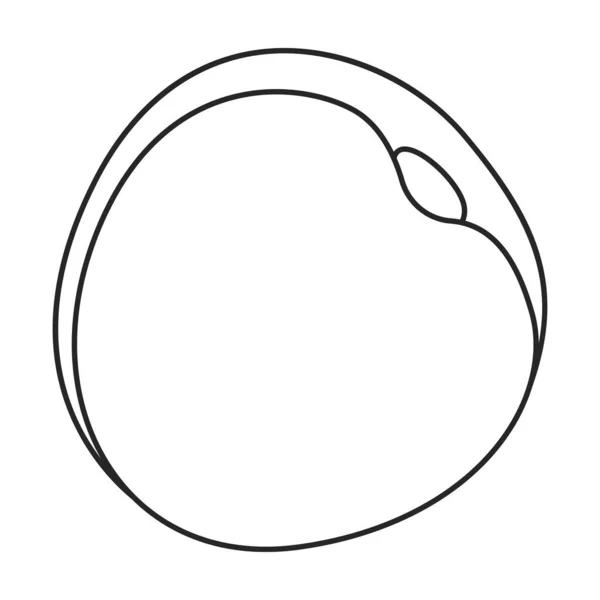 Icône vectorielle séchée abricot. Décrivez l'icône vectorielle isolée sur fond blanc abricot séché. — Image vectorielle