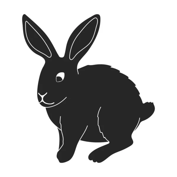 Tavşan vektörü siyah simgesi. Beyaz arka planda vektör illüstrasyon tavşanı. İzole edilmiş siyah resimli tavşan ikonu. — Stok Vektör