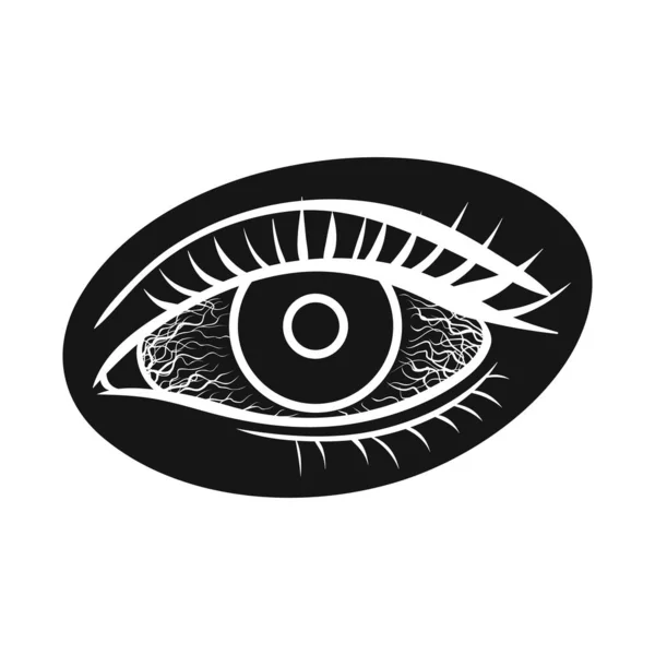 분리 된 눈 과 백 내장의 상징이다. 주식을 위한 눈 과 시력 벡터 아이콘의 그래픽. — 스톡 벡터