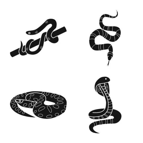 Design vetorial de cobra e sinal assustador. Conjunto de serpente e veneno estoque vetor ilustração. — Vetor de Stock
