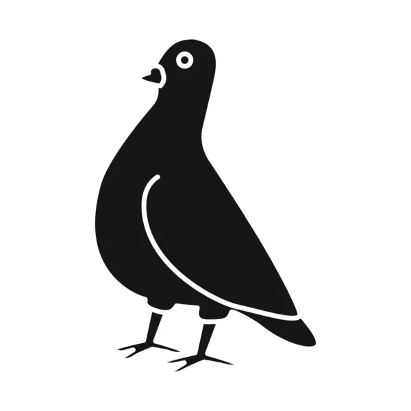비둘기와 새 의 형상으로 따로 구별 된 것이었습니다. 가축을 위한 비둘기와 평화의 벡터 아이콘 세트. — 스톡 벡터