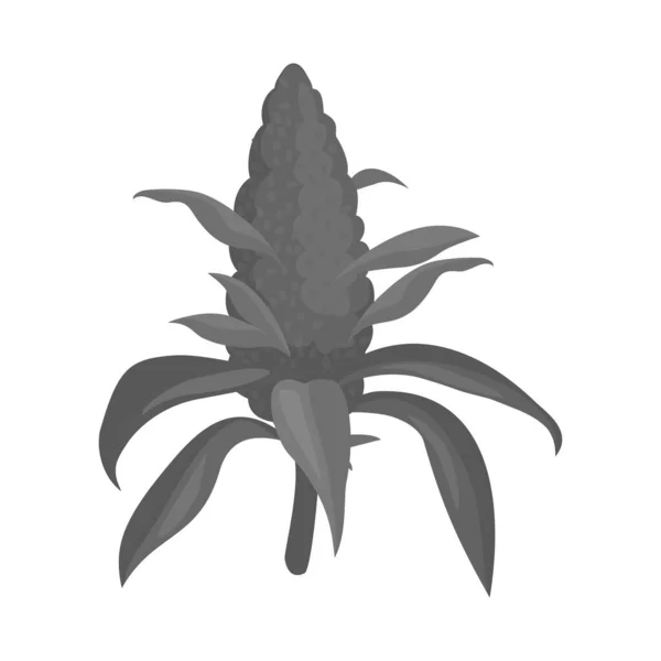 Bud és marihuána logó vektoros illusztrációja. A rügy és virágzás vektor ikonjának webes eleme az állomány számára. — Stock Vector