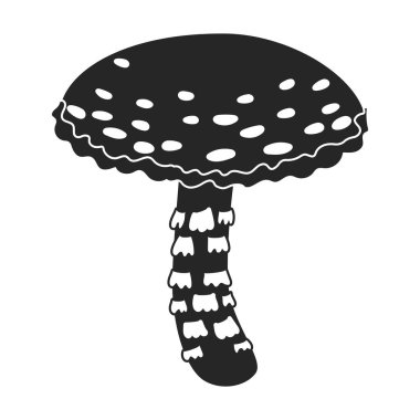 Amanita vektör simgesi. Siyah vektör simgesi beyaz arkaplan amanita üzerinde izole edildi.