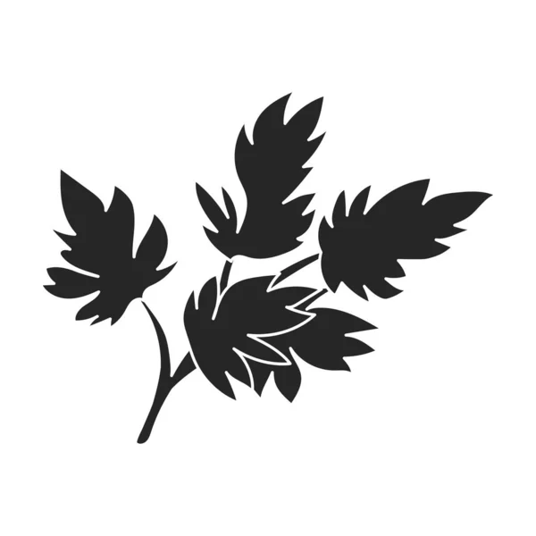 セロリのアイコンの葉.セロリの白い背景の葉に隔離された黒いベクトルのアイコン. — ストックベクタ