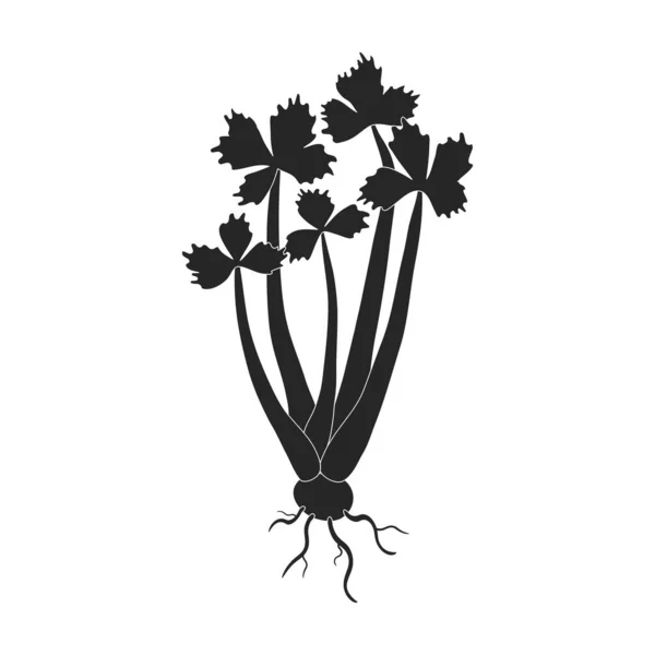 Sprout celery vector icon.Black vector icon 을 흰색 배경 조각 celery 에 분리. — 스톡 벡터