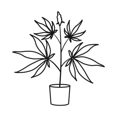 Marihuana ve esrar logosunun izole edilmiş bir nesnesi. Stok için marihuana ve kenevir vektör simgesi grafiği.