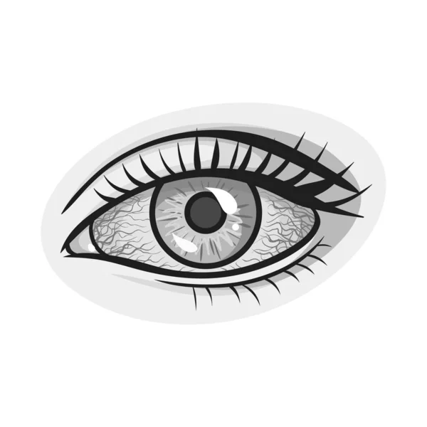 Vektor desain mata dan tanda katarak. Elemen web dari ikon vektor mata dan penglihatan untuk stok. - Stok Vektor