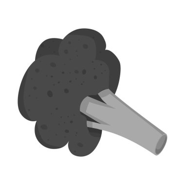 İzole edilmiş brokoli ve sebze ikonu. Brokoli ve karnabahar stok vektör illüstrasyonu koleksiyonu.