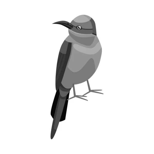 Ilustración vectorial del signo de pájaro y abejero. Colección de aves y el icono del vector del ala para la acción. — Vector de stock