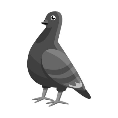 Güvercin ve kuş işaretinin vektör tasarımı. Stok için güvercin ve barış vektör simgesi koleksiyonu.